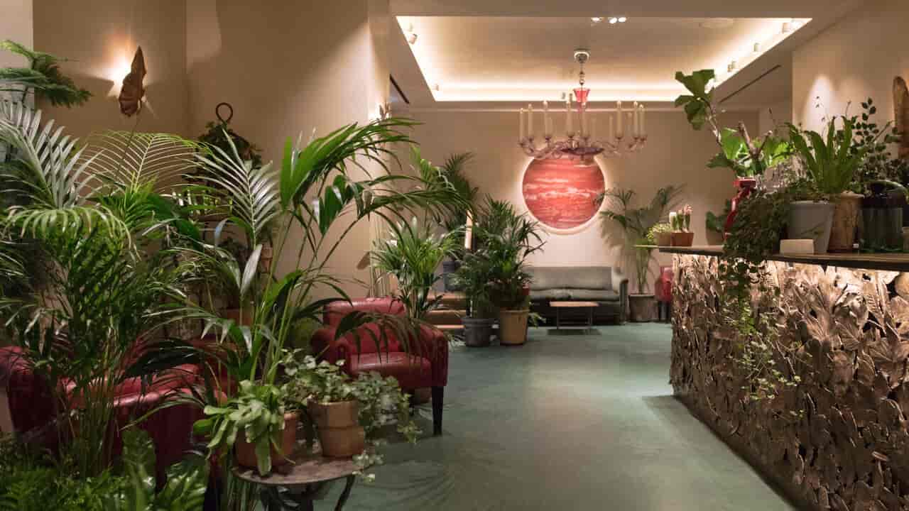 Petersham Nurseries Covent Garden  - image