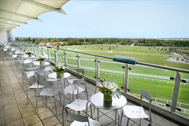 Park View Suite  - image
