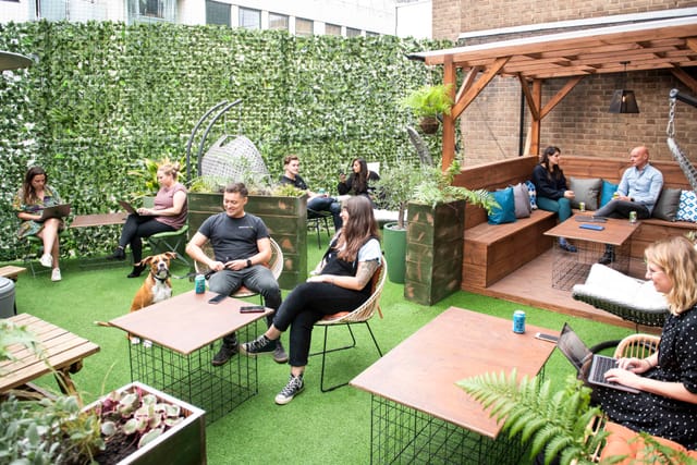 The Terrace - image