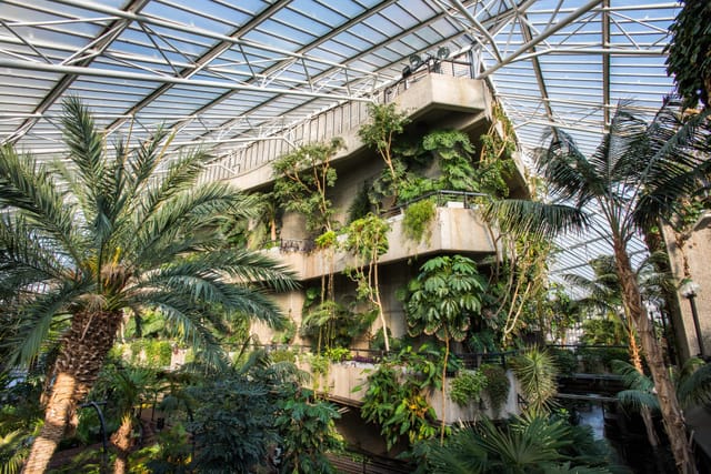 The Conservatory - image