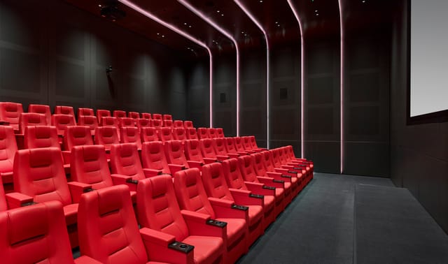 Gallery and Screening Room - image