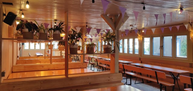 Log Cabin - image