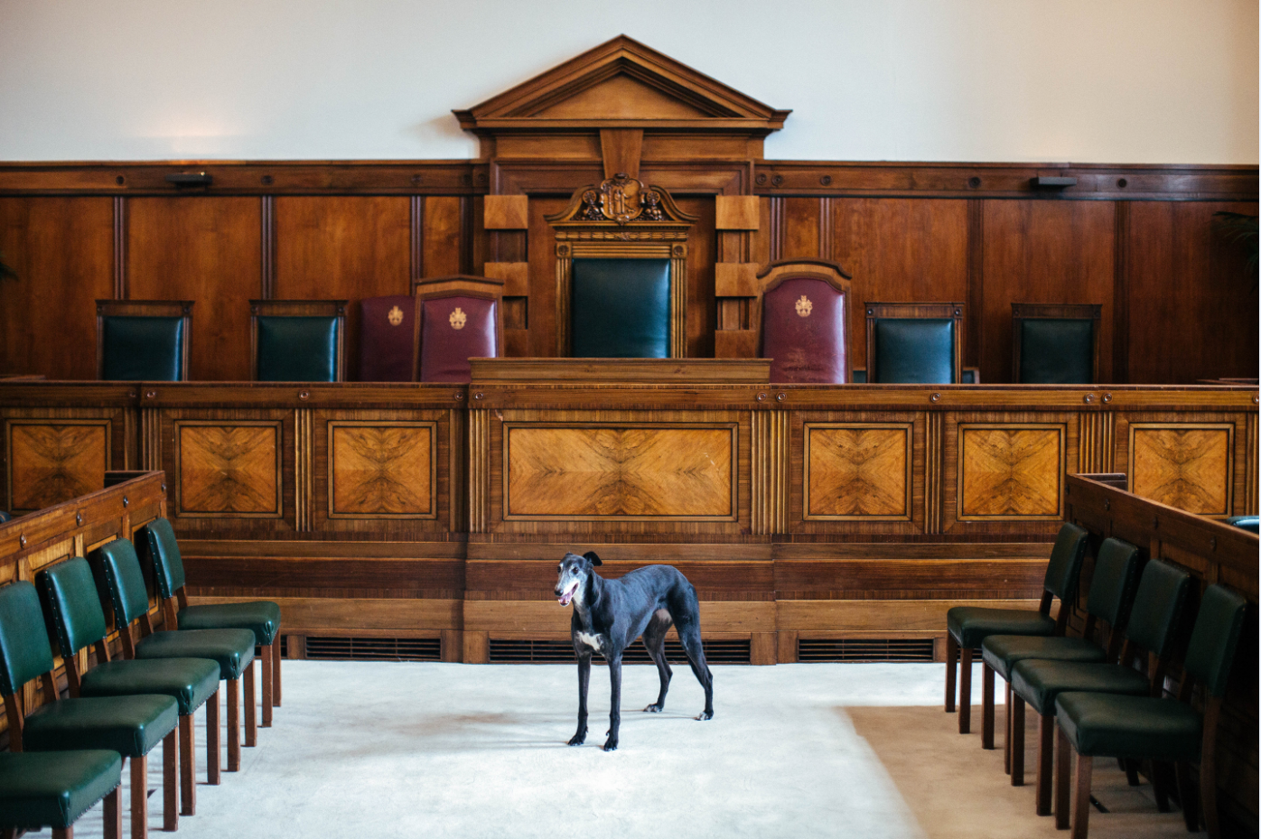 Council Chamber at Town Hall Hotel with wooden paneling, ideal for creative events and meetings.