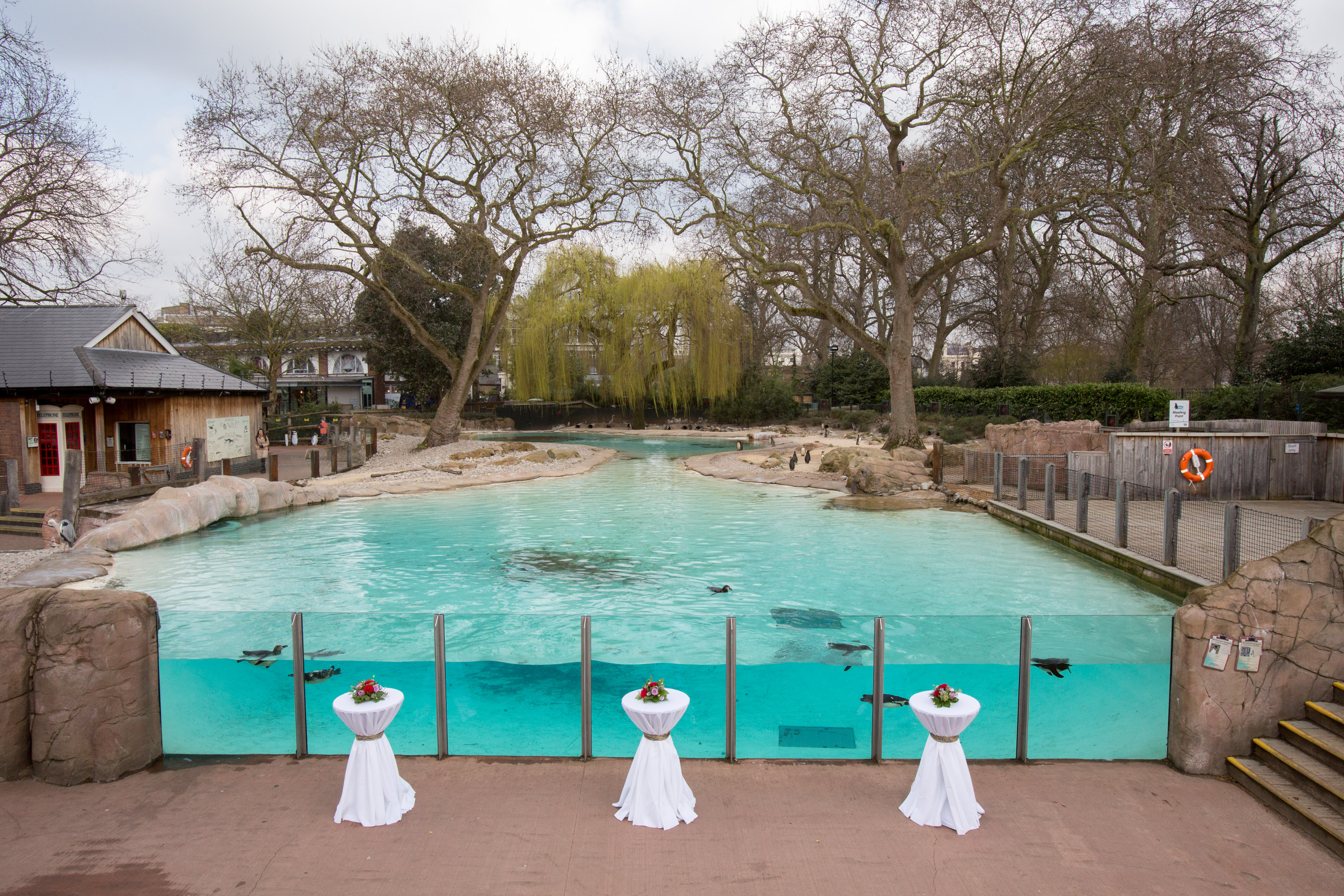 fa88ea86-654c-4b63-a561-cc24cd861bba.jpg