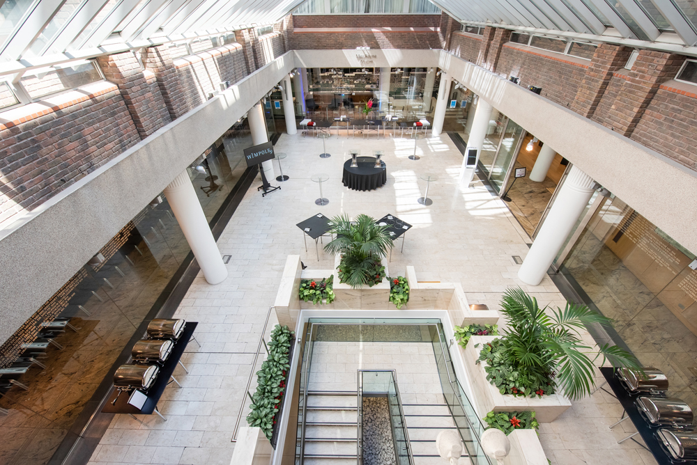 Max Rayne Atrium | 1 Wimpole Street