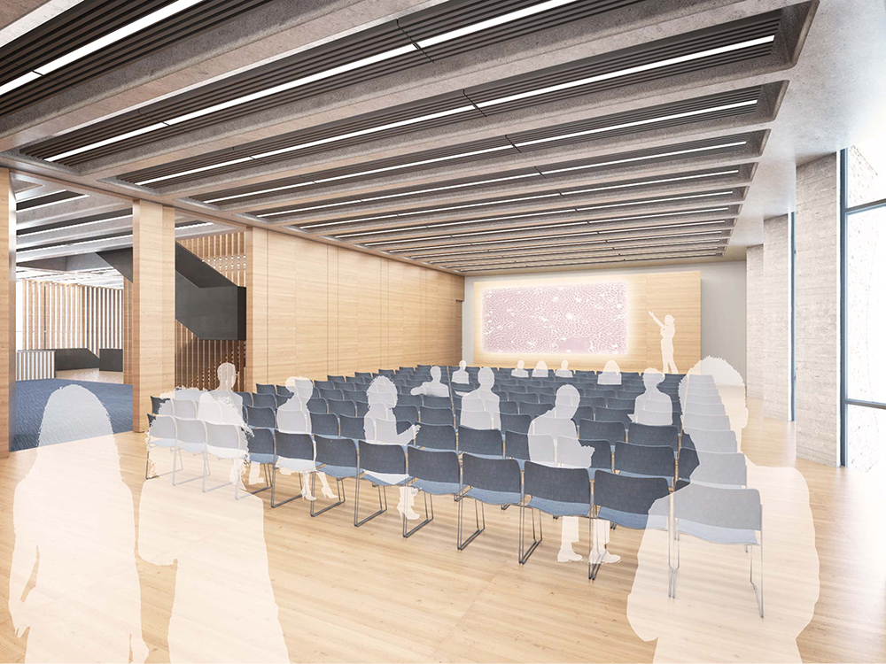 Modern theater-style meeting room at Events @ No 6 for corporate workshops and presentations.