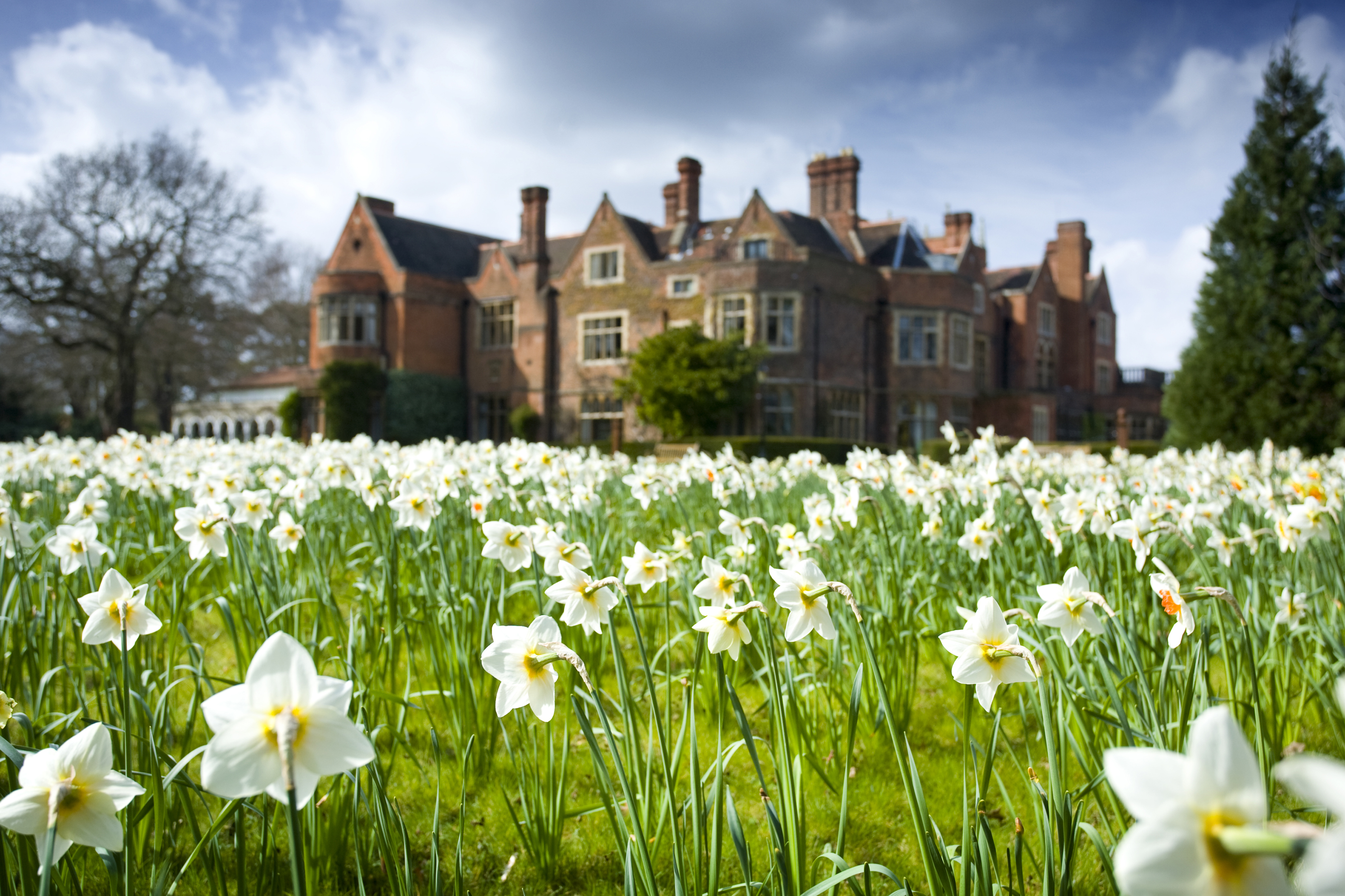 Edwardian Ballroom at Warren House Hotel, elegant venue with blooming daffodils for weddings. - Banner