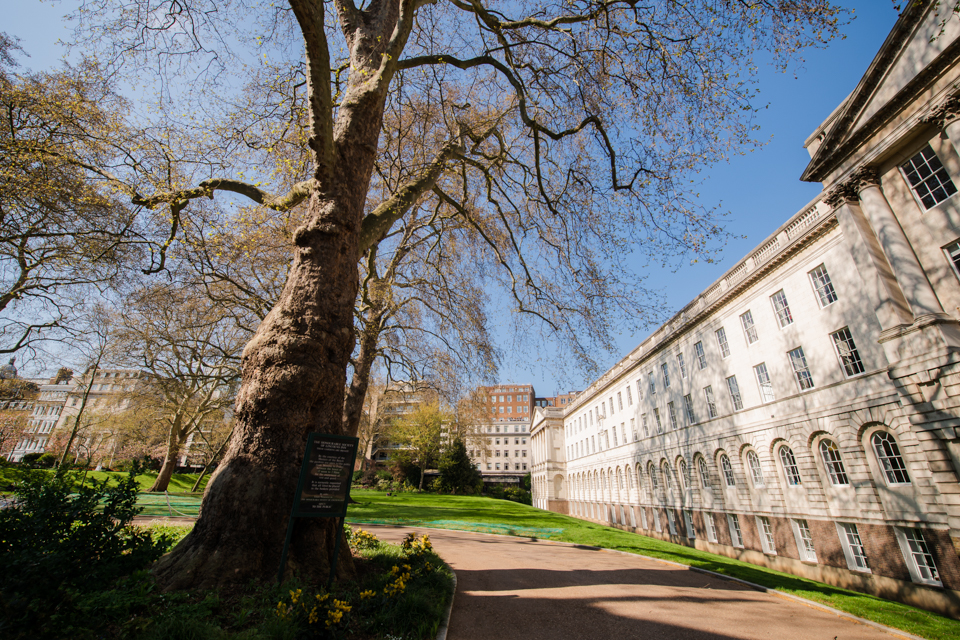 Lincoln's Inn North Lawn event, historic venue, summer party