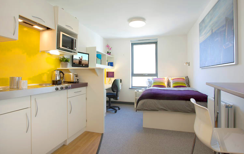 The Nest Studios: Compact, modern unit for corporate housing and event accommodation.