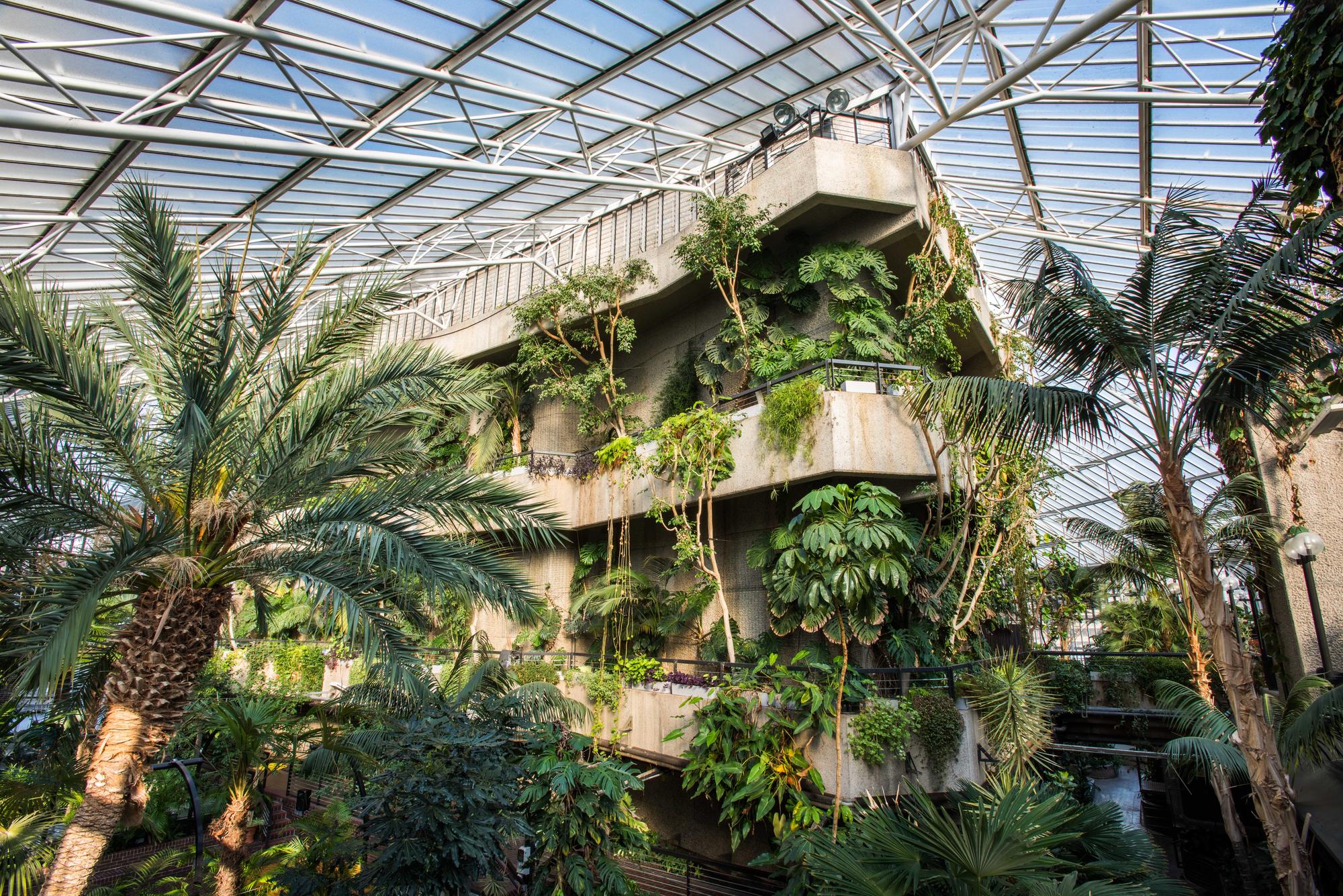 Biophilic Barbican Centre venue for experiential summer parties and corporate networking events.