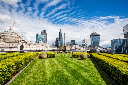 Rooftop venue at Coq d'Argent with greenery, ideal for corporate events and receptions. - Banner